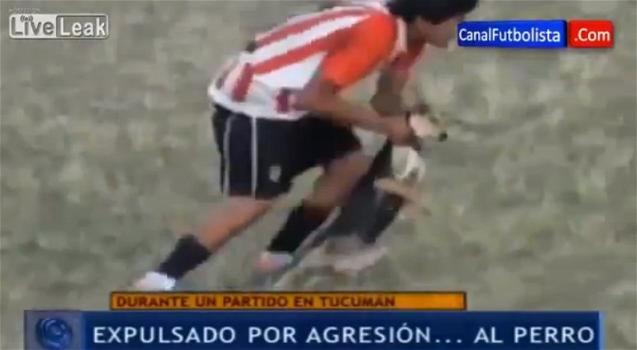 Calciatore argentino lancia un cane fuori dal campo e viene espulso