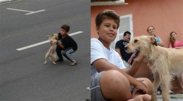 Bambino eroe salva un cane in autostrada
