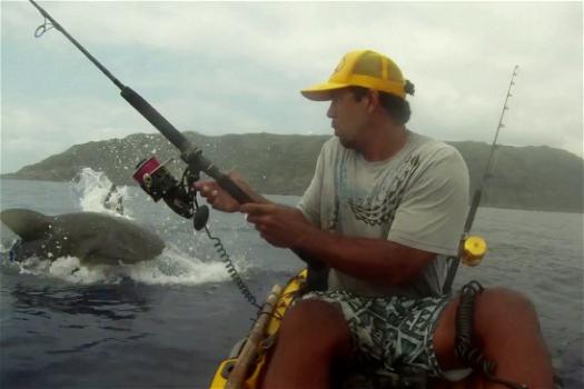Hawaii: uno squalo tigre spaventa un pescatore (video)