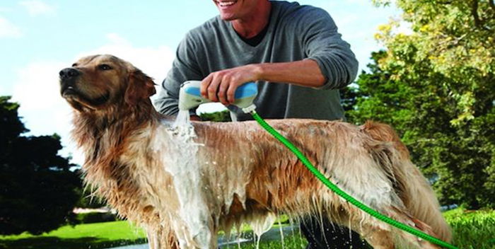 Cane Gadget