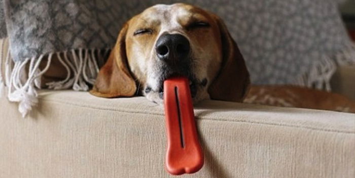 Cane Gadget