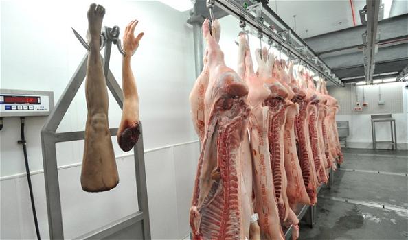 Carne umana in tavola. Jamie Oliver: “Ha lo stesso sapore della carne di maiale”