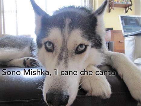 Mishka, il cane che parla e canta (video)