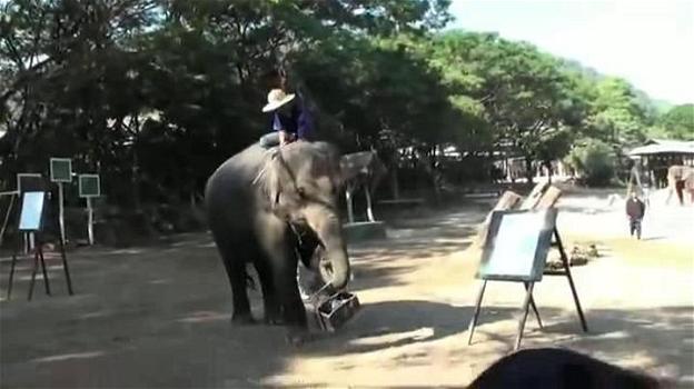 Un elefante pittore dipinge autoritratti (video)