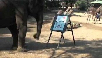 hong-elefante-pittore