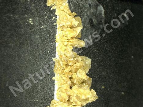 Cereali Wheaties: trovati frammenti di metallo