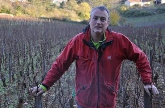 Francia: denunciato viticoltore che non usa i pesticidi sistemici