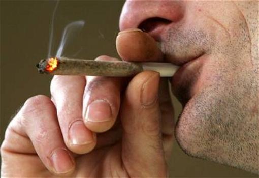 180 fumatori di cannabis assunti dall’ospedale universitario di Nancy
