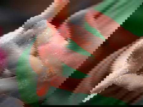 Gli antibatterici dei saponi non hanno efficacia