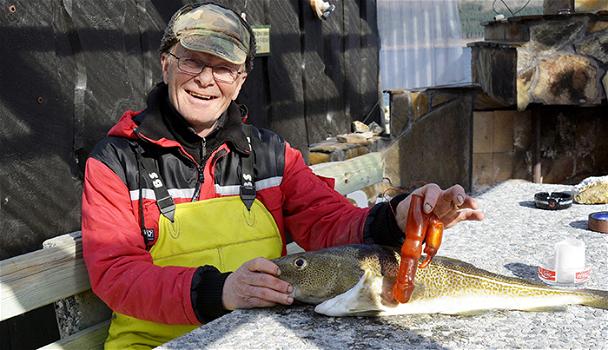 Norvegia: Pescatore trova un vibratore nello stomaco di un merluzzo