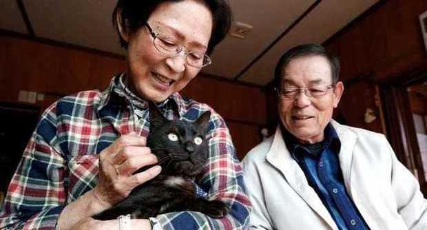 Giappone, ritrovano il gatto a tre anni dal sisma