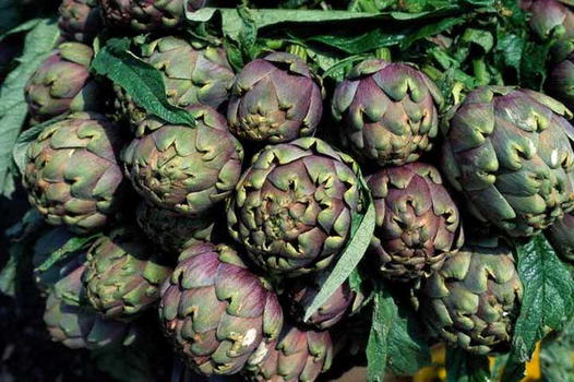 Il carciofo potrebbe aiutare nella cura dei tumori da amianto