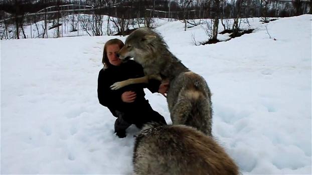L’incontro tra Anita e i lupi