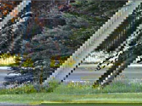 Canada: vestito come Rambo uccide tre poliziotti e ne ferisce altri due. E’ caccia all’uomo
