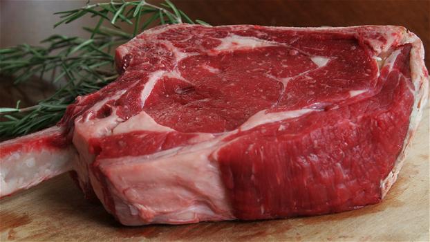 Carne bovina infetta sequestrata in 21 province italiane dai Nas