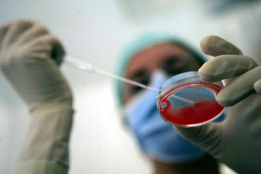 Fecondazione: “Il divieto di eterologa crea disparità economica”