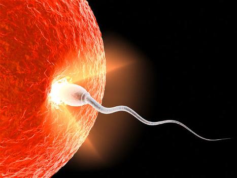 Tenere il cellulare in tasca diminuisce la fertilità maschile