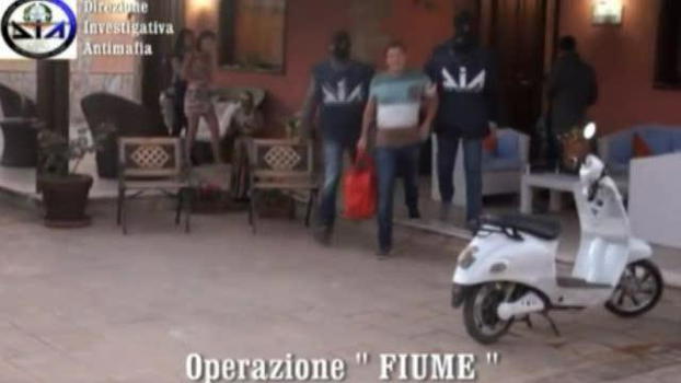 Droga allo Zen: a fiumi dalla Calabria, gestita dalla mafia