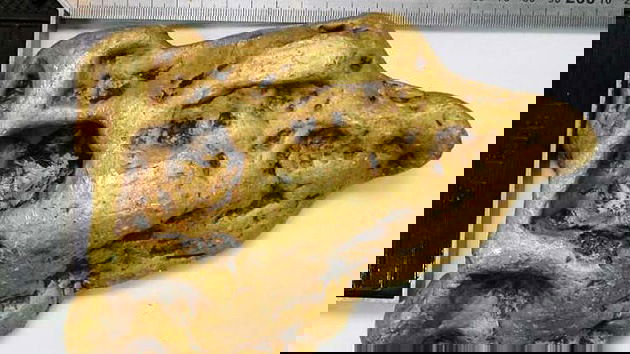 pepita-d-oro