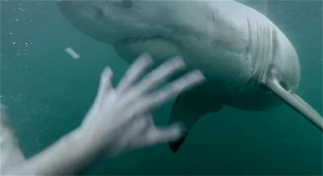 VIDEO SHOCK – Si tuffa in mare con la GoPro, ad aspettarlo c’è uno squalo gigante