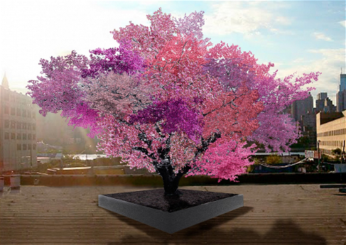 L’albero che produce 40 frutti differenti