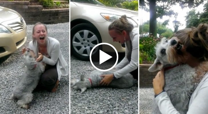 Dopo Quanto Tempo Il Cane Sceglie Il Padrone