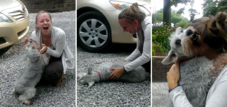 La padrona torna a casa dopo due anni e il suo cane perde i sensi per la gioia