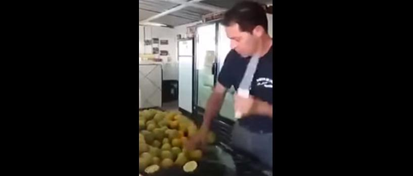 Fruit Ninja nella vita reale: taglia centinaia di limoni in pochi secondi