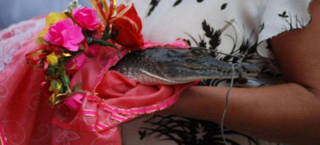 Sindaco del Messico sposa un coccodrillo