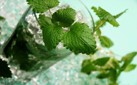 Liquore in polvere: le ultime novità arrivano dagli Stati Uniti