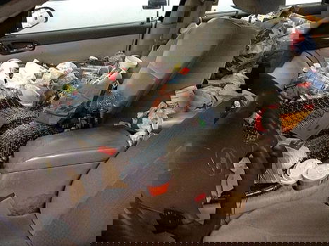 I seggiolini da auto hanno più batteri di un water