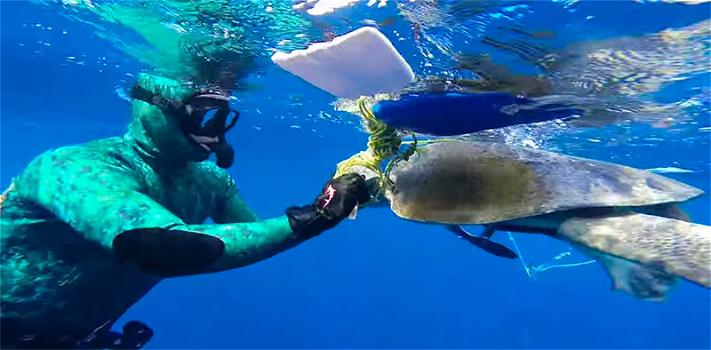 GoPro: Subacqueo salva una tartaruga marina e questa lo ringrazia in una maniera indimenticabile