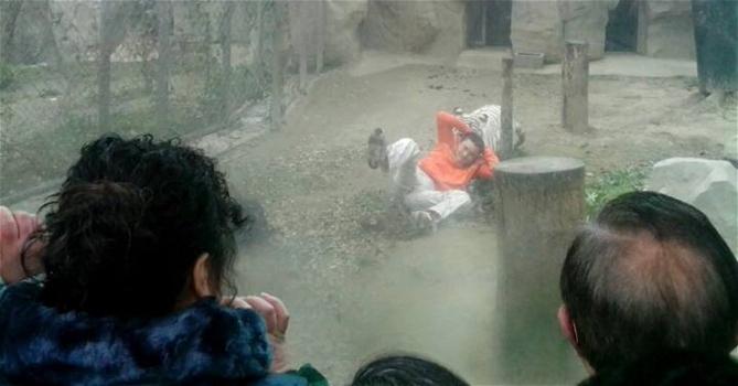 Studente 17enne cade nella fossa di una tigre allo zoo e viene sbranato. Inutili i soccorsi