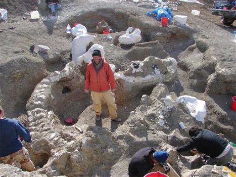 Scoperti i resti del più grande dinosauro mai esistito