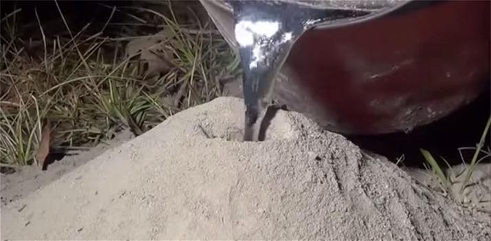 Gettano alluminio fuso in un formicaio. Quello che succede è davvero inaspettato