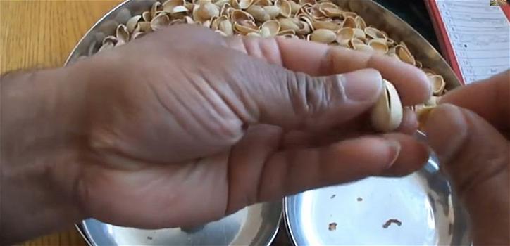 Ecco come sgusciare i pistacchi più difficili da aprire