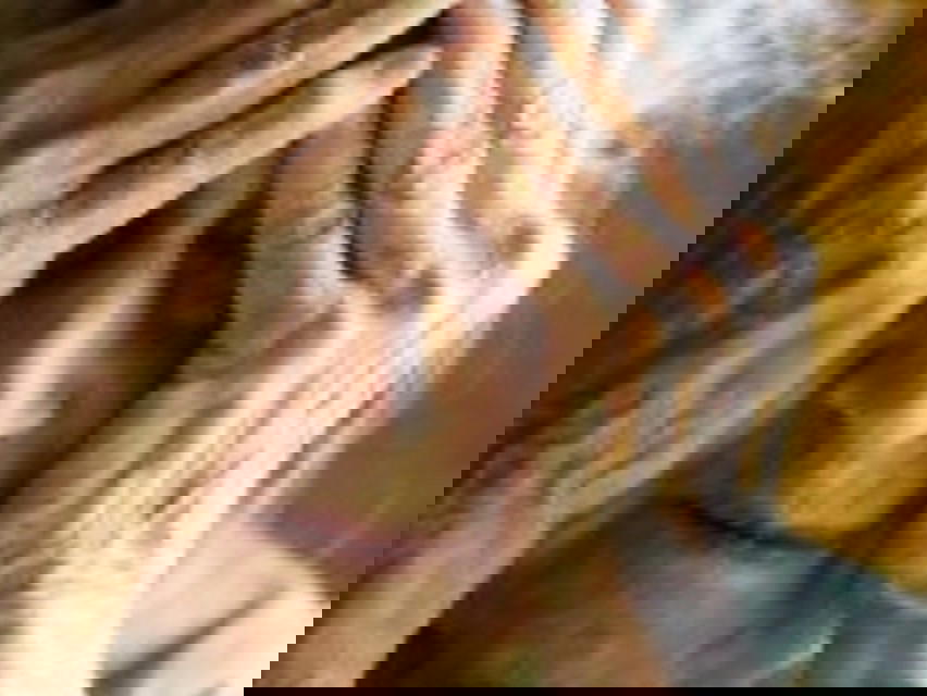 Pompei: anziana donna muore in seguito a caduta da casa di riposo