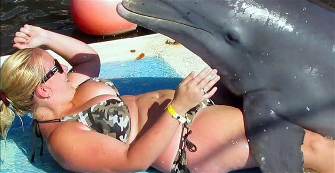 Un delfino salta addosso ad una ragazza durante uno show. Quello che succede è decisamente imbarazzante