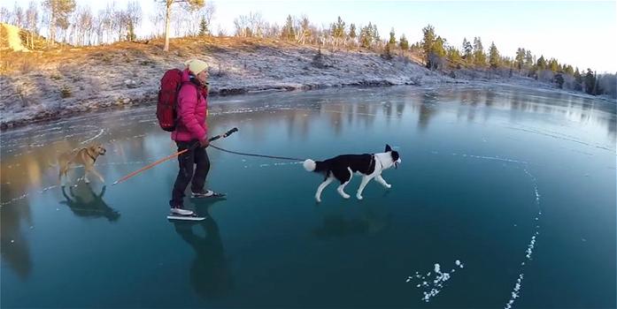 Svezia: pattina sul lago Blanktjärn ghiacciato ammirando i pesci che nuotano