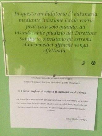 Milano: troppe richieste di eutanasia. Il veterinario sbotta "Avete rotto, gli animali non sono un fastidio"
