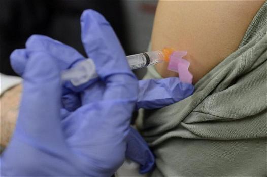 Influenza suina: il picco sta per arrivare, occorre vaccinarsi subito