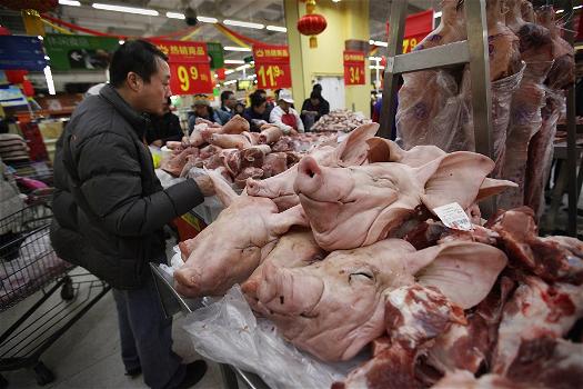 Cina: scoperta carne di maiale avariata. 110 gli arresti
