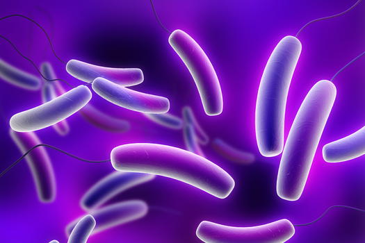 Scoperto nuovo antibiotico efficace contro lo stafilococco aureo