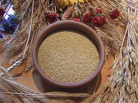 Miglio: un cereale poco conosciuto ma utilissimo per la nostra salute