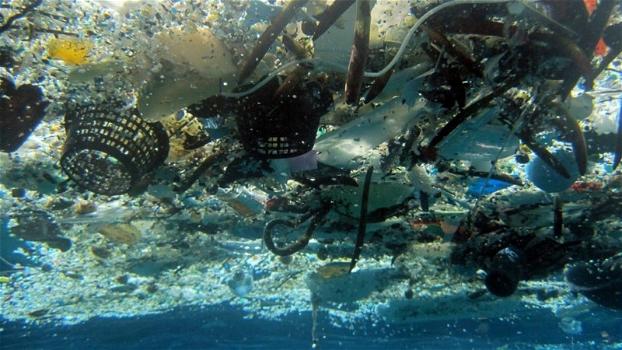 Allarme rifiuti negli oceani: si rischia la catastrofe ecologica