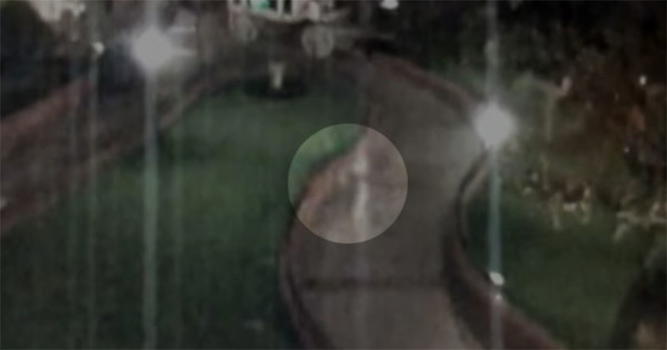 Ecco il fantasma che passeggia di notte a Disneyland