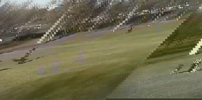 L’aquila reale cattura un bimbo al parco. Ma è un fake!