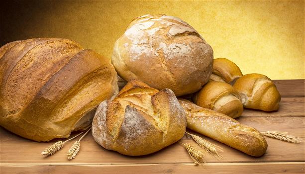 Consumo del pane ai minimi storici: lo rivela Coldiretti