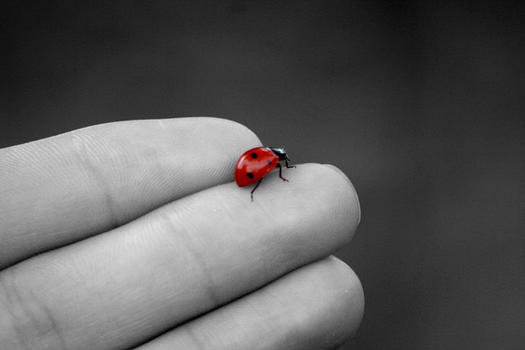 10 delle superstizioni più strane provenienti da tutto il mondo