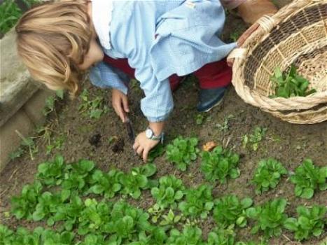 L’orto nelle scuole, un ritorno per sensibilizzare i bambini alla natura